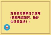 野生姜形黄精什么性味(黄精味道如何，是野生还是栽培？)