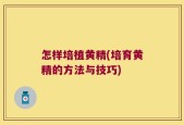 怎样培植黄精(培育黄精的方法与技巧)