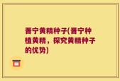 晋宁黄精种子(晋宁种植黄精，探究黄精种子的优势)