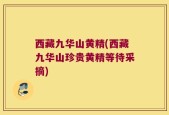 西藏九华山黄精(西藏九华山珍贵黄精等待采摘)