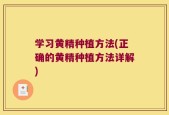 学习黄精种植方法(正确的黄精种植方法详解)