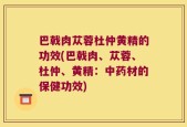巴戟肉苁蓉杜仲黄精的功效(巴戟肉、苁蓉、杜仲、黄精：中药材的保健功效)