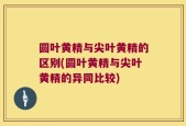 圆叶黄精与尖叶黄精的区别(圆叶黄精与尖叶黄精的异同比较)