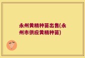 永州黄精种苗出售(永州市供应黄精种苗)