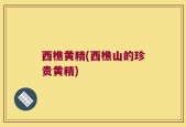 西樵黄精(西樵山的珍贵黄精)