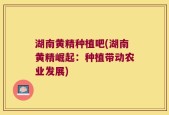 湖南黄精种植吧(湖南黄精崛起：种植带动农业发展)