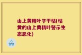 山上黄精叶子干枯(枯黄的山上黄精叶警示生态恶化)