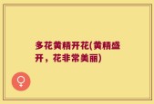 多花黄精开花(黄精盛开，花非常美丽)