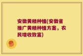 安徽黄精种植(安徽省推广黄精种植方案，农民增收致富)