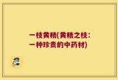 一枝黄精(黄精之枝：一种珍贵的中药材)