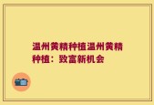 温州黄精种植温州黄精种植：致富新机会