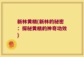 新林黄精(新林的秘密：探秘黄精的神奇功效)