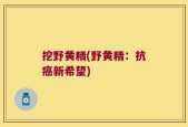 挖野黄精(野黄精：抗癌新希望)