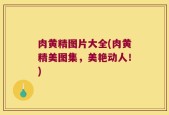 肉黄精图片大全(肉黄精美图集，美艳动人！)