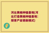 河北黄精种植基地(河北打造黄精种植基地：探索产业链新模式)
