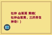 杜仲 山茱萸 黄精(杜仲山茱黄，三药养生神奇！)