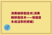 滇黄精移栽技术(滇黄精移栽技术——增强苗木成活率的突破)