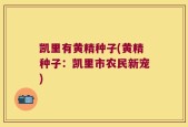 凯里有黄精种子(黄精种子：凯里市农民新宠)