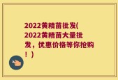 2022黄精苗批发(2022黄精苗大量批发，优惠价格等你抢购！)