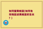 如何催黄精苗(如何有效地促进黄精苗的生长？)