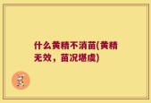 什么黄精不消苗(黄精无效，苗况堪虞)