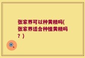张家界可以种黄精吗(张家界适合种植黄精吗？)