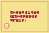 吉林省适不适合种植黄精(吉林省黄精种植的可行性分析)