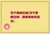 济宁黄精牡蛎(济宁黄精牡蛎：健康美味的组合)