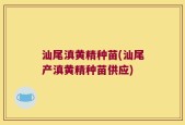 汕尾滇黄精种苗(汕尾产滇黄精种苗供应)