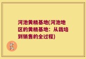 河池黄精基地(河池地区的黄精基地：从栽培到销售的全过程)