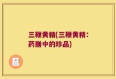 三鞭黄精(三鞭黄精：药膳中的珍品)