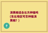 滇黄精适合北方种植吗(东北地区可否种植滇黄精？)