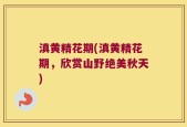滇黄精花期(滇黄精花期，欣赏山野绝美秋天)