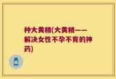 种大黄精(大黄精——解决女性不孕不育的神药)