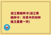 浙江黄精种子(浙江黄精种子：珍贵中药材种植之重要一环)