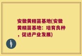 安徽黄精苗基地(安徽黄精苗基地：培育良种，促进产业发展)
