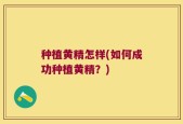 种植黄精怎样(如何成功种植黄精？)
