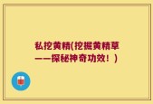 私挖黄精(挖掘黄精草——探秘神奇功效！)