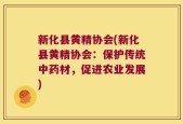 新化县黄精协会(新化县黄精协会：保护传统中药材，促进农业发展)