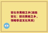 安化市黄精之乡(湖南安化：探访黄精之乡，领略非遗文化风采)