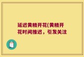 延迟黄精开花(黄精开花时间推迟，引发关注
