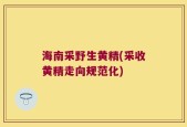 海南采野生黄精(采收黄精走向规范化)