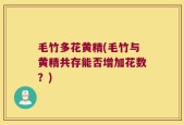 毛竹多花黄精(毛竹与黄精共存能否增加花数？)