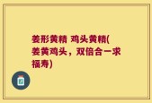 姜形黄精 鸡头黄精(姜黄鸡头，双倍合一求福寿)