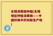 无锡滇黄精种植(无锡地区种植滇黄精——中国珍稀中药材新生产地)
