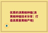 优质的滇黄精种植(滇黄精种植技术分享：打造高质量黄精产地)