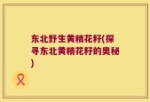 东北野生黄精花籽(探寻东北黄精花籽的奥秘)