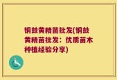 铜鼓黄精苗批发(铜鼓黄精苗批发：优质苗木种植经验分享)
