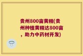 贵州800亩黄精(贵州种植黄精达800亩，助力中药材开发)