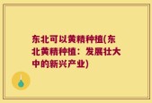 东北可以黄精种植(东北黄精种植：发展壮大中的新兴产业)